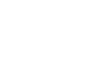 Lone Armadillo Learning Logo white