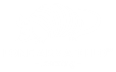 Lone Armadillo Learning Logo white 227x142