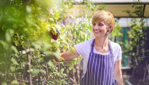garden-center-employee-supervises-the-plants